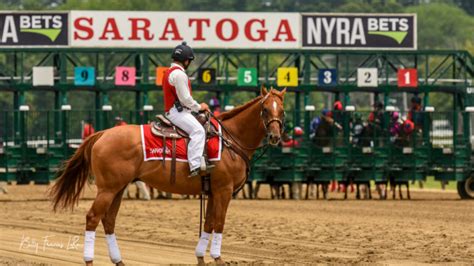 Select the Date you would like to view. . Entries for saratoga race course